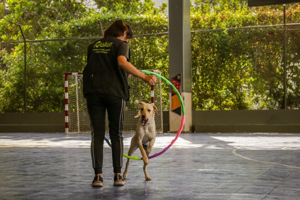 Adestramento Canino: Técnicas Simples para Ensinar Seu Cachorro em Casa