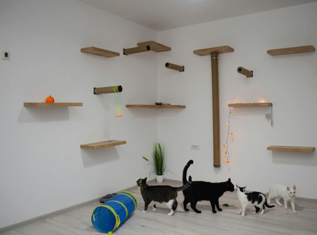 Como deixar a casa mais segura para pet